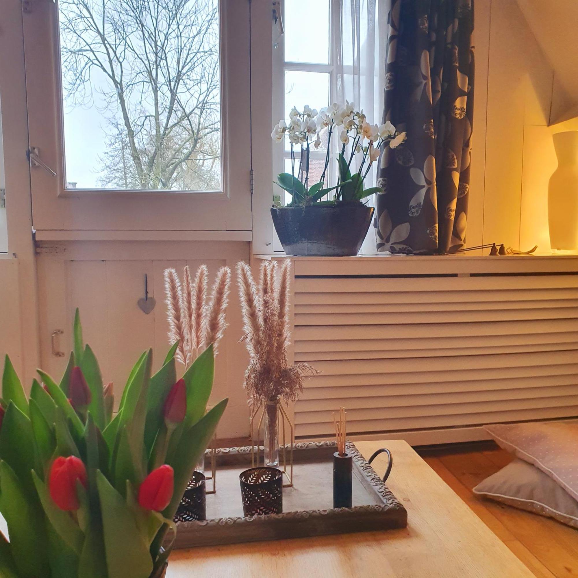 Bed & Bike De Rijp Bed & Breakfast Екстериор снимка